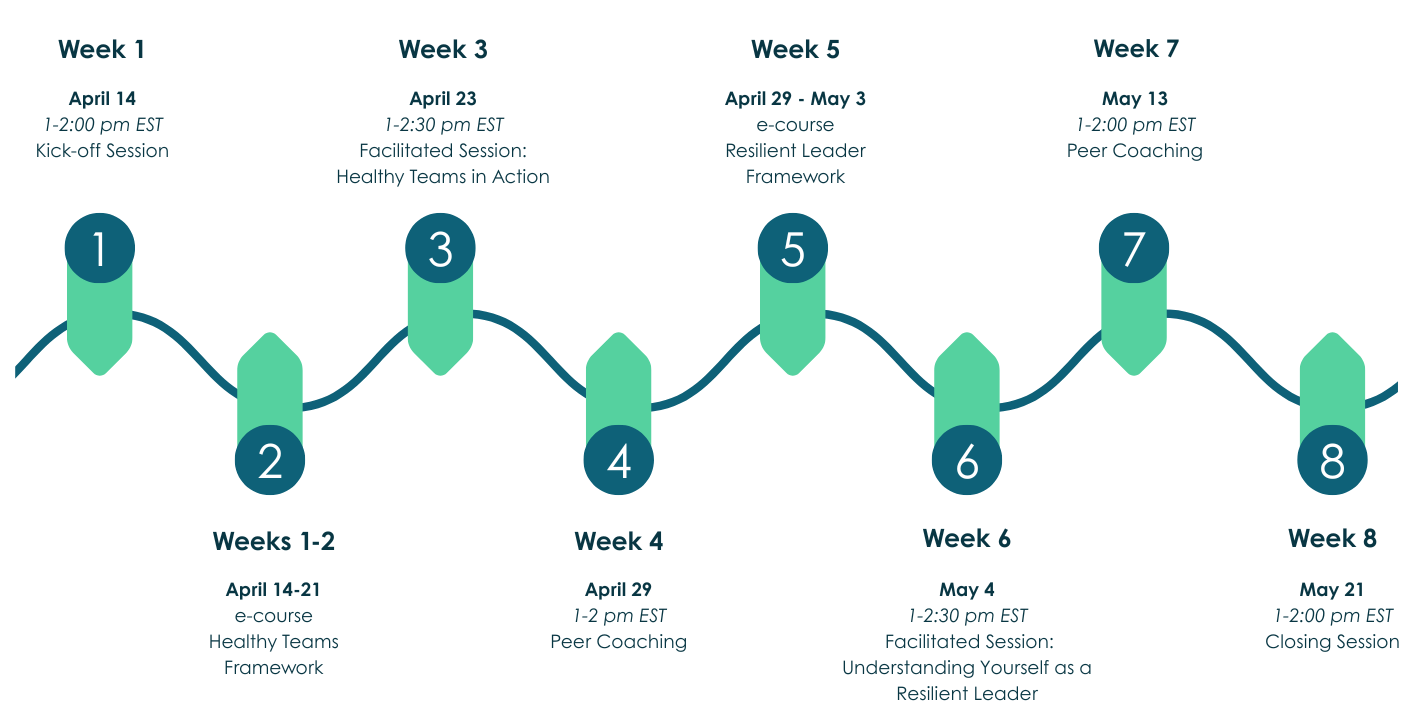 Spark - Participant Journey (1)-1