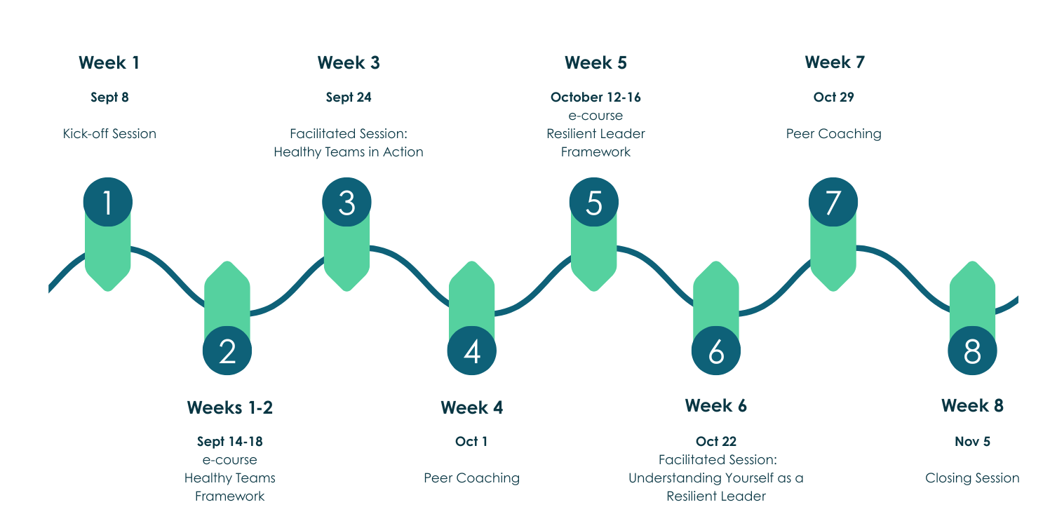 Spark - Participant Journey2